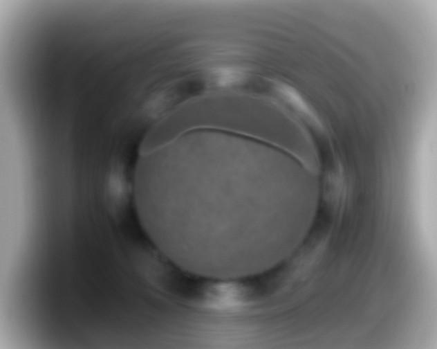 X0000099570324200805231536