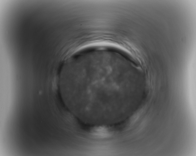 X0000099570325200805231536