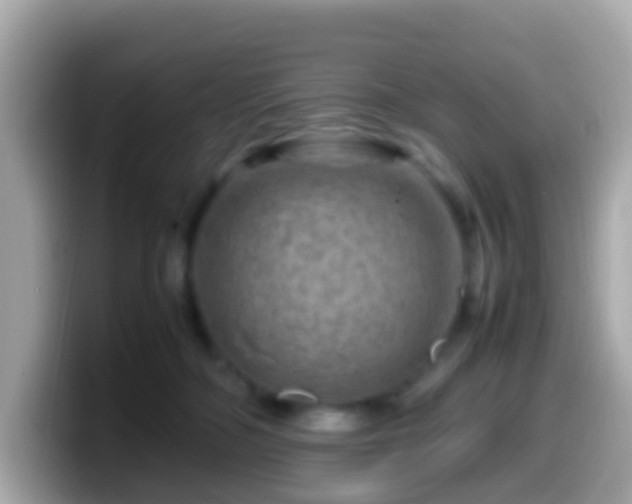 X0000099570326200805231536