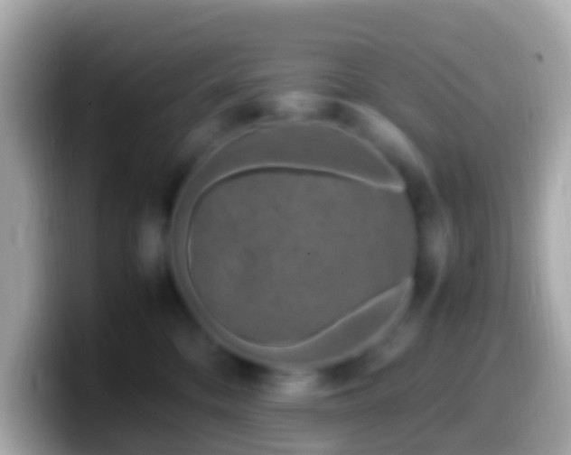 X0000099570328200805231536