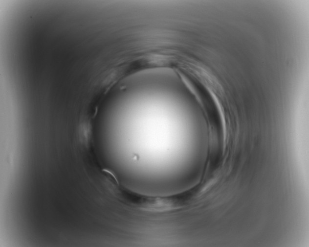 X0000099570329200805231536