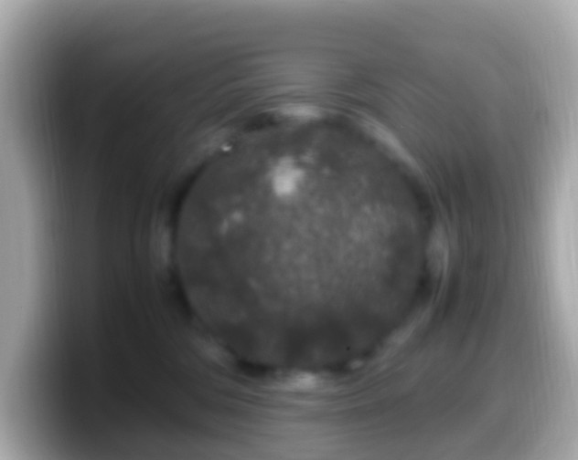 X0000099570330200805231536