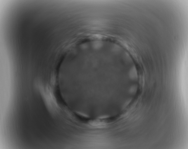 X0000099570331200805231536