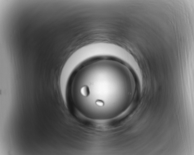 X0000099570332200805231536