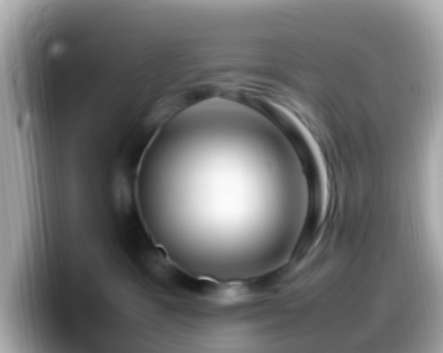 X0000099570333200805231536