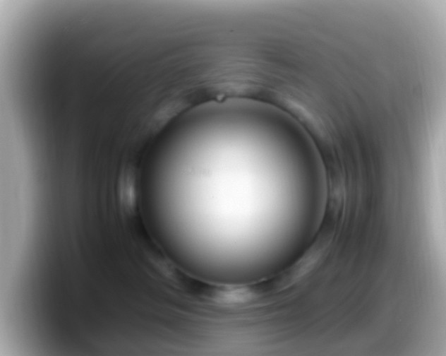 X0000099570334200805231536