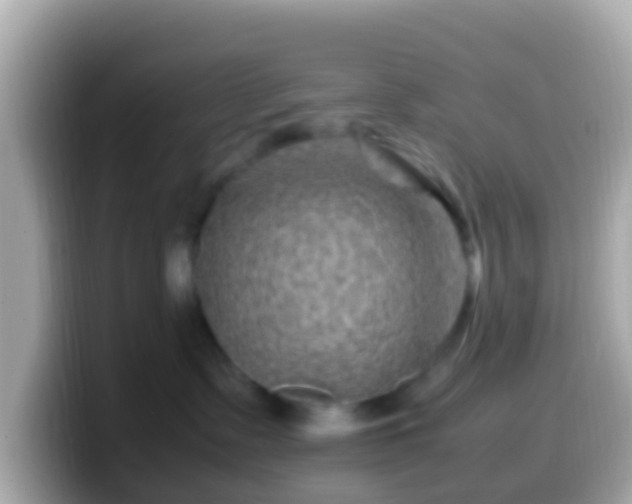X0000099570335200805231536