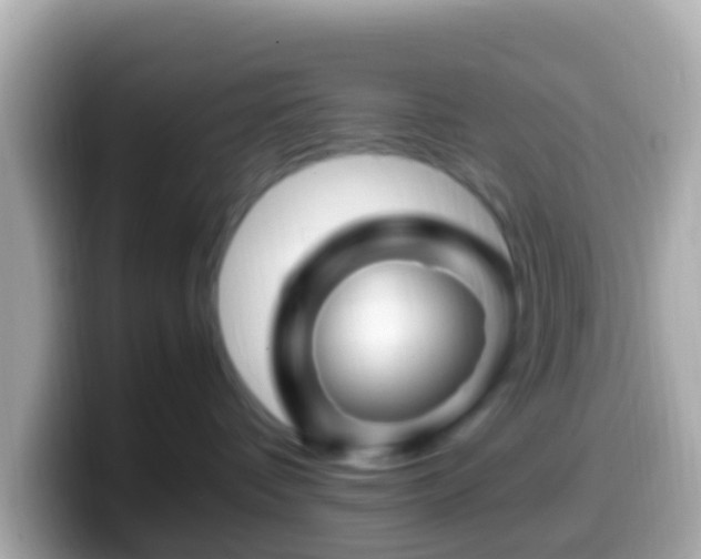 X0000099570336200805231536