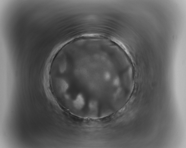 X0000099570337200805231535