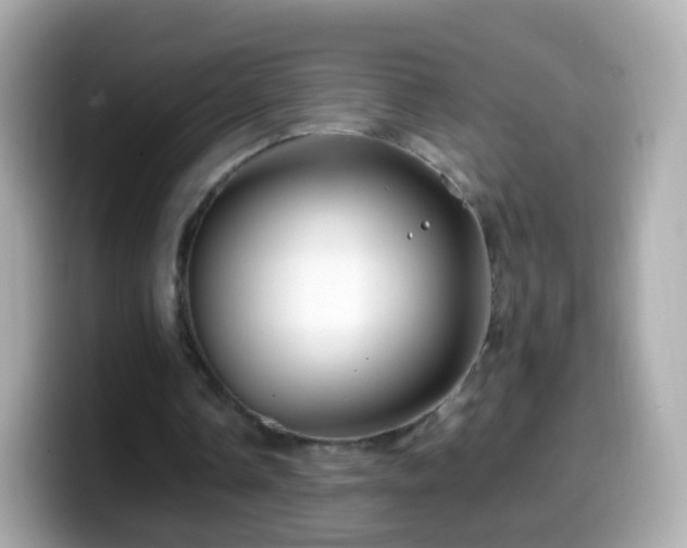 X0000099570338200805231535