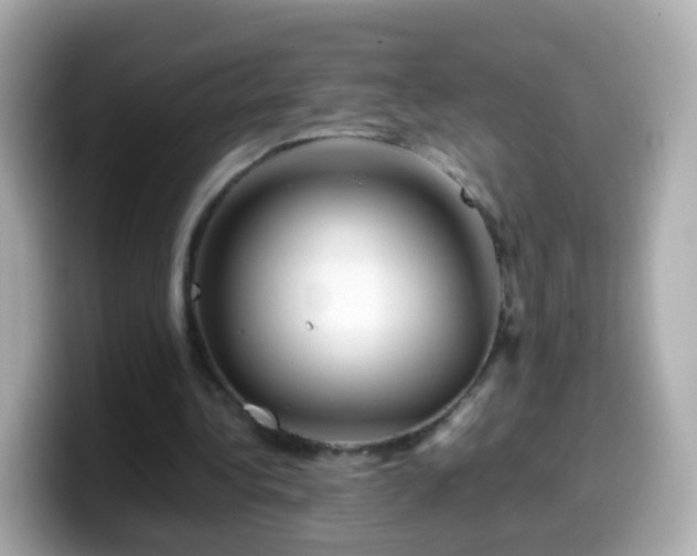 X0000099570340200805231535