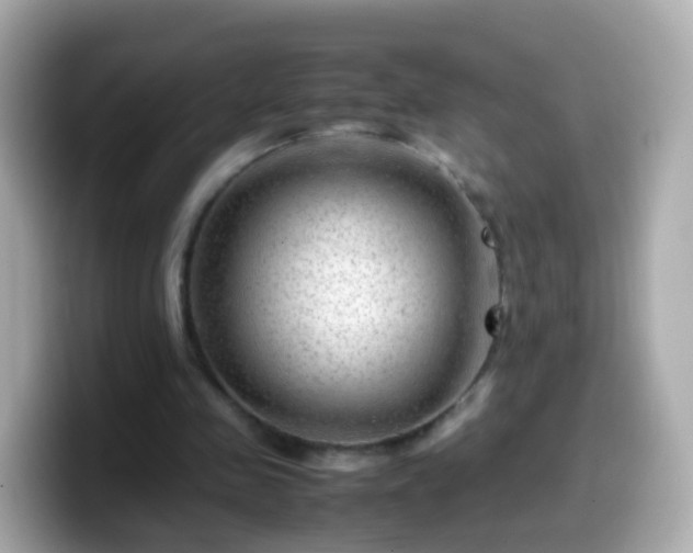 X0000099570341200805231535