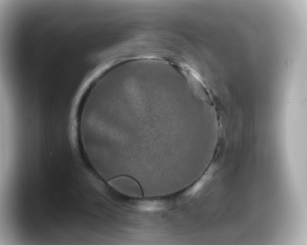 X0000099570342200805231535