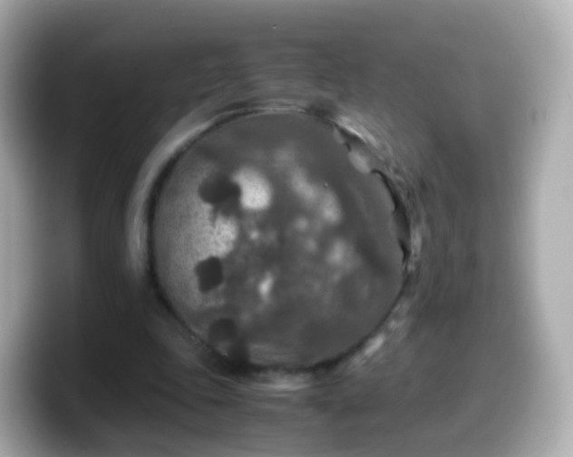 X0000099570343200805231535