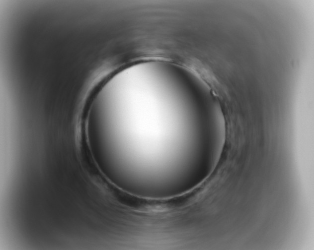 X0000099570344200805231535