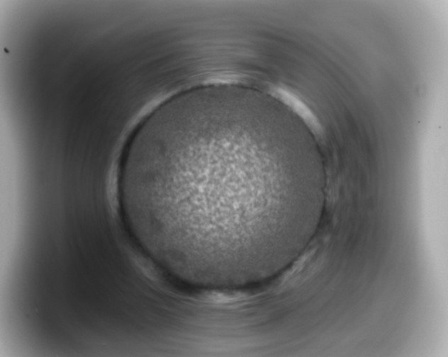 X0000099570346200805231535