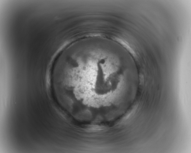 X0000099570347200805231535