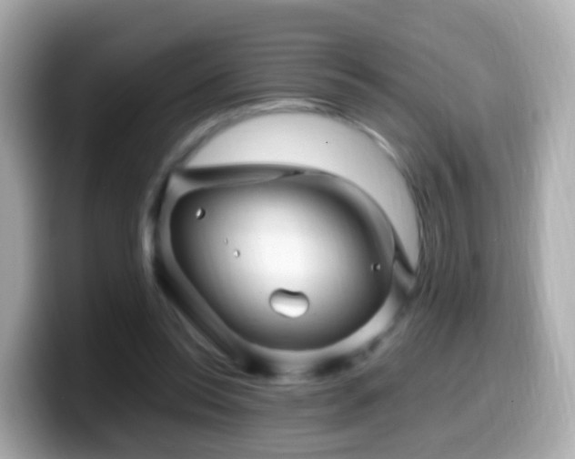 X0000099570350200805231536