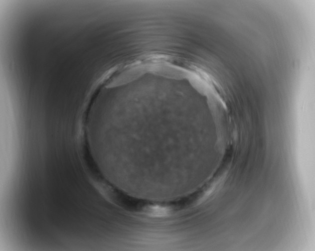 X0000099570352200805231536