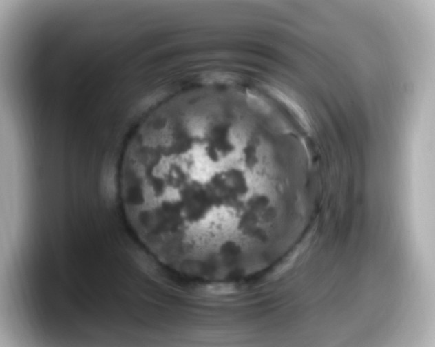 X0000099570353200805231536