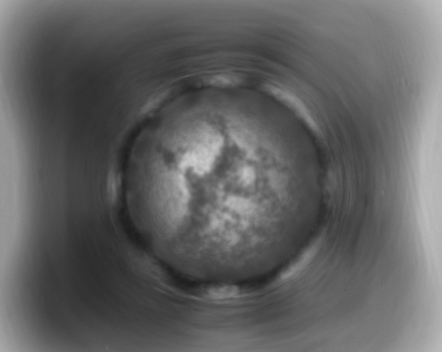 X0000099570355200805231536