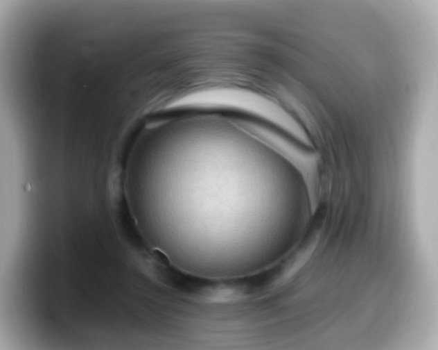 X0000099570356200805231536