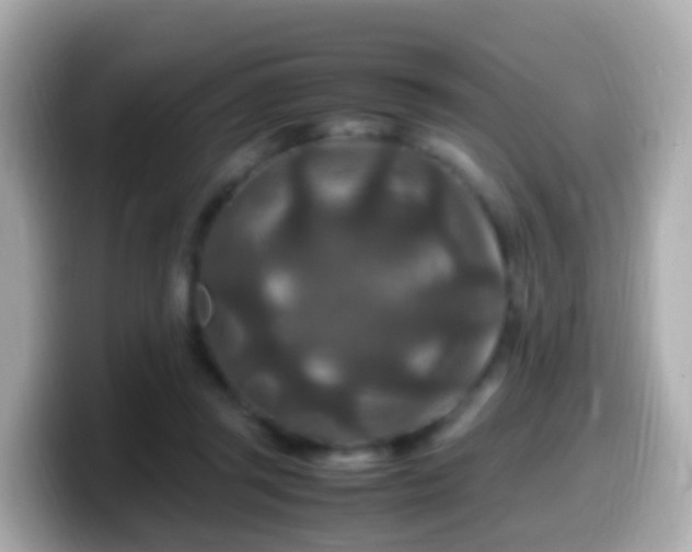 X0000099570357200805231536