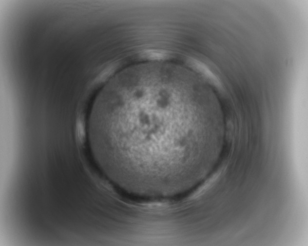 X0000099570358200805231536