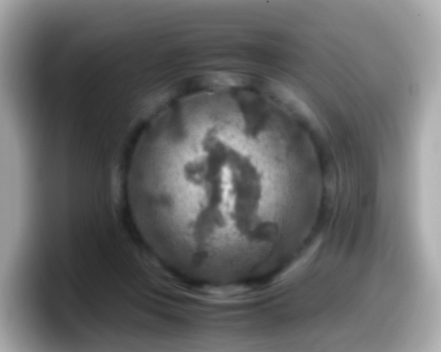 X0000099570359200805231536