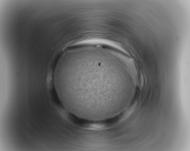 X0000099570360200805231536