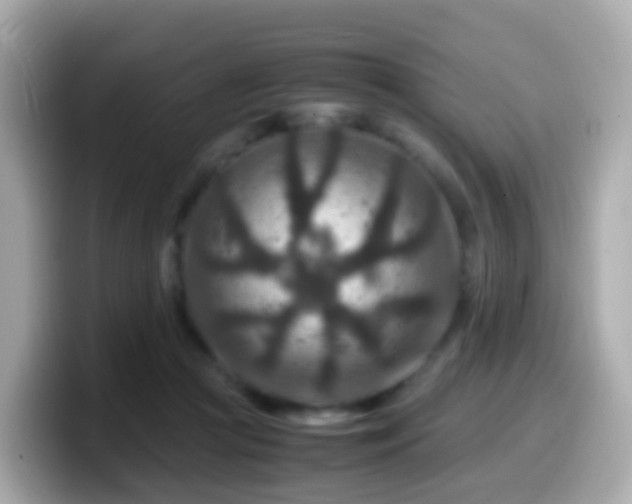 X0000099570361200805231536