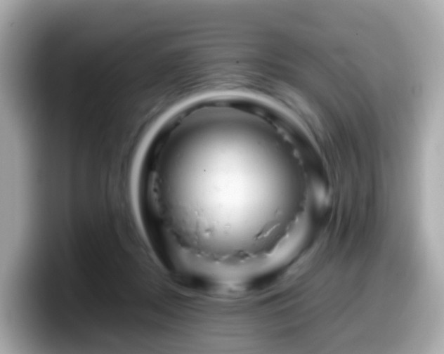 X0000099570362200805231536