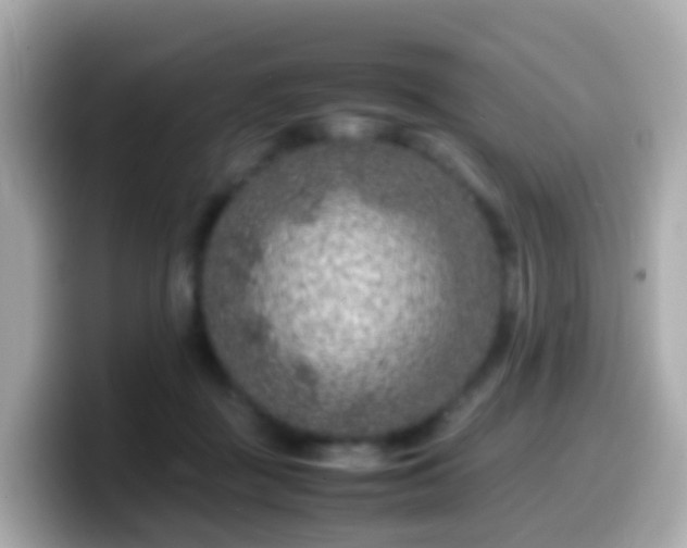 X0000099570363200805231536
