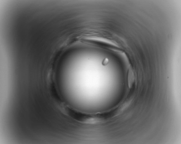 X0000099570364200805231536