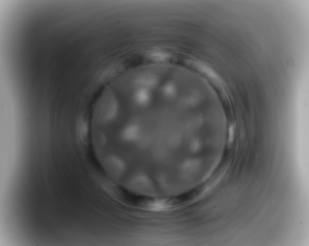X0000099570365200805231536