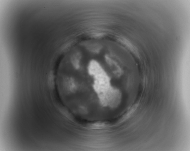 X0000099570366200805231536