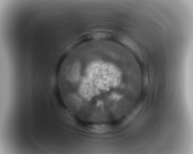 X0000099570367200805231536