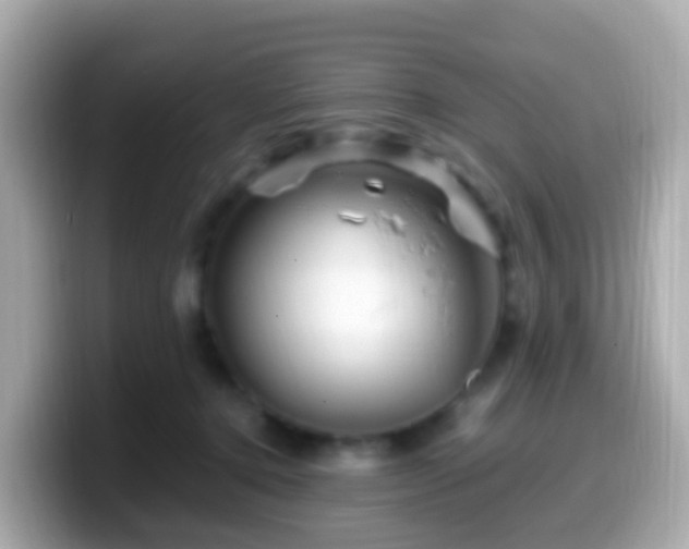 X0000099570368200805231536