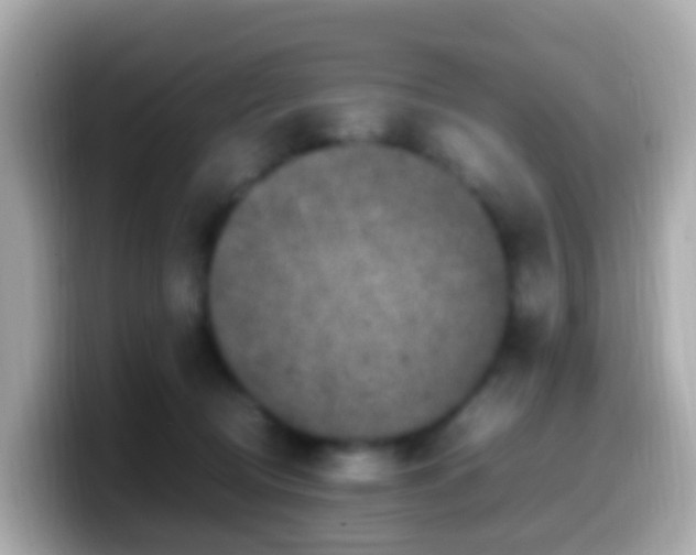 X0000099570370200805231536