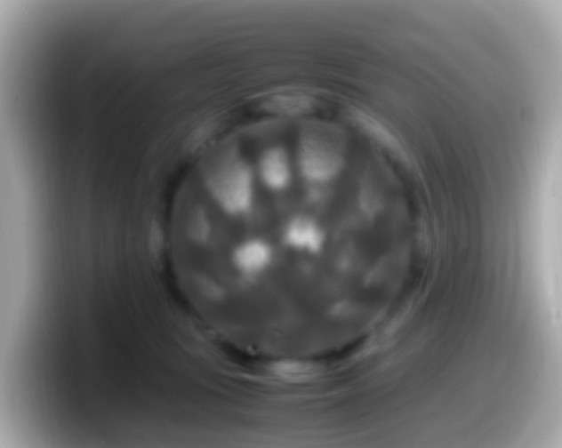 X0000099570371200805231536