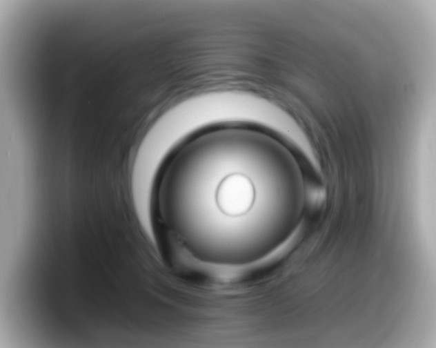 X0000099570372200805231536