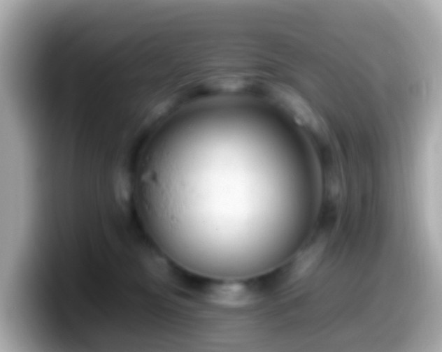 X0000099570374200805231536