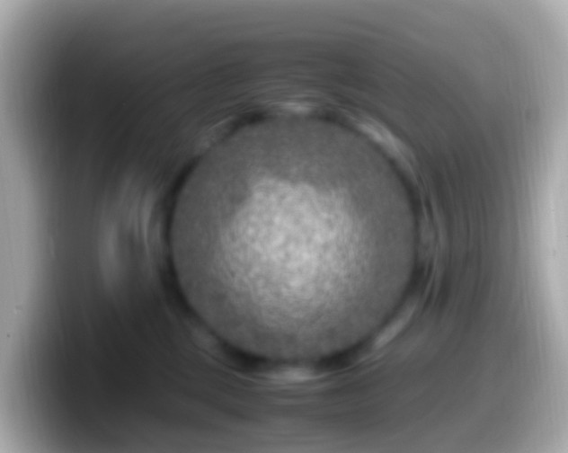 X0000099570377200805231536