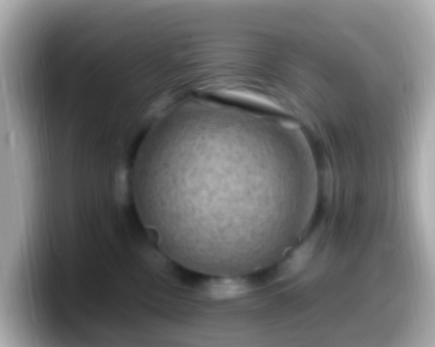 X0000099570378200805231536