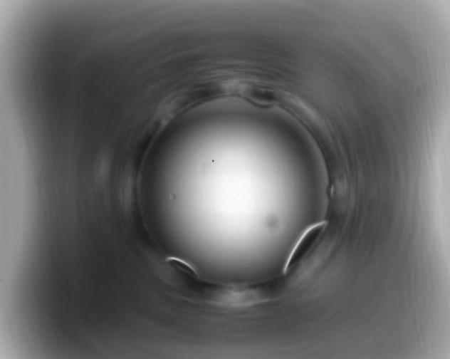 X0000099570379200805231536