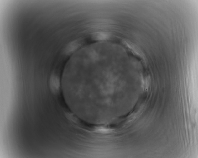 X0000099570380200805231536