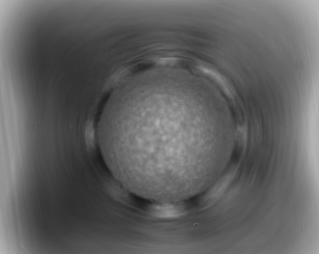X0000099570381200805231536