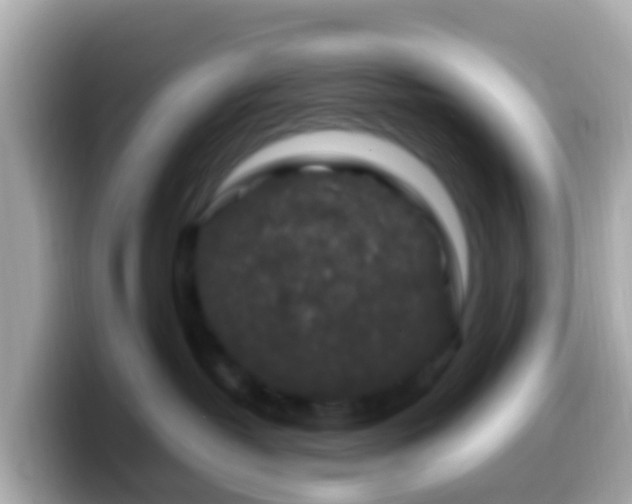 X0000099570382200805231536