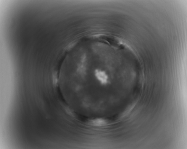 X0000099570383200805231536
