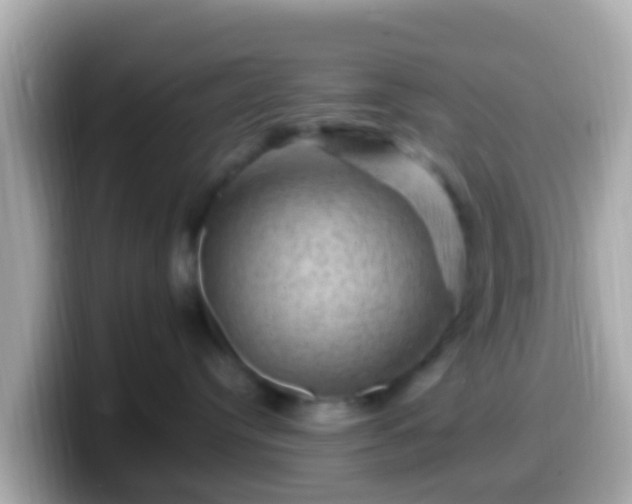 X0000099570384200805231536